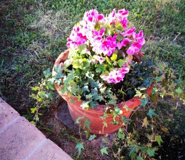 Castiglioncello Apartment | Suite Eleven