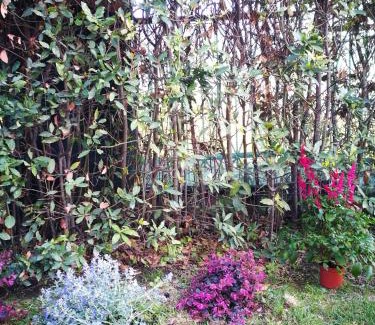 Castiglioncello Apartment | Suite Eleven