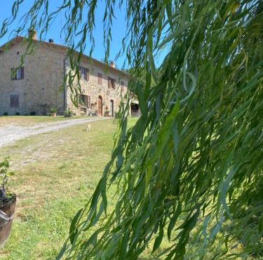 B&B Poderone