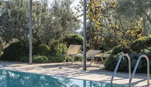 Lovely apartment for 2 guests with A/C, WIFI, pool, TV, patio and pets allowed