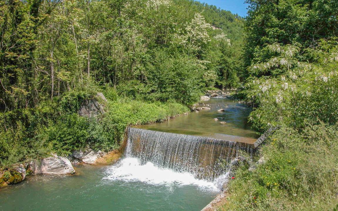 Photo of Others in Castel Focognano