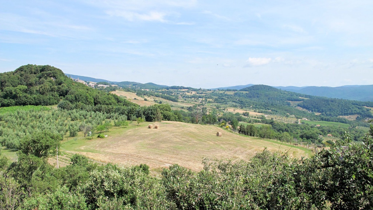 Photo of Others in Roccastrada