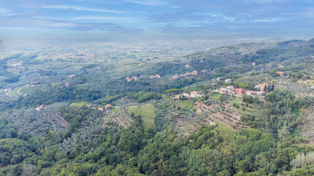 Photo of Others in San Baronto