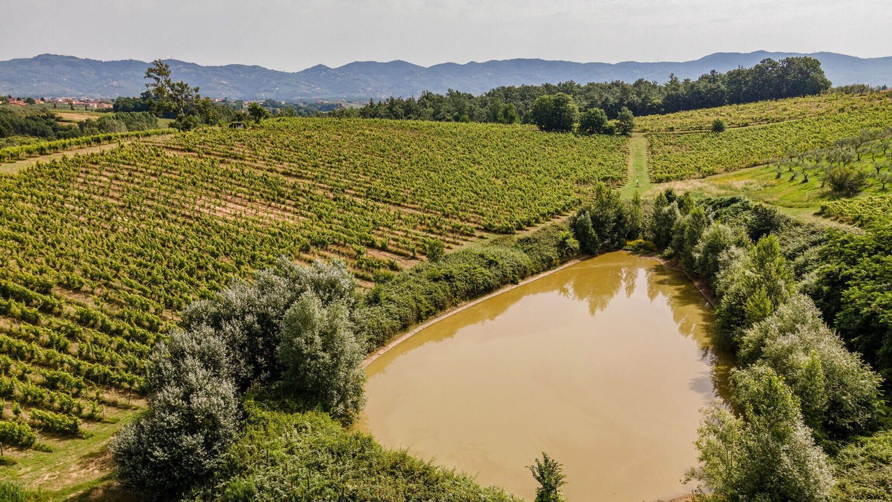 Photo of Bedroom in Stabbia