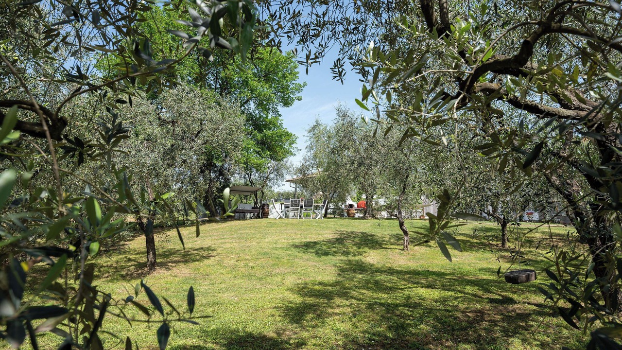 Photo of Outdoor in Lamporecchio