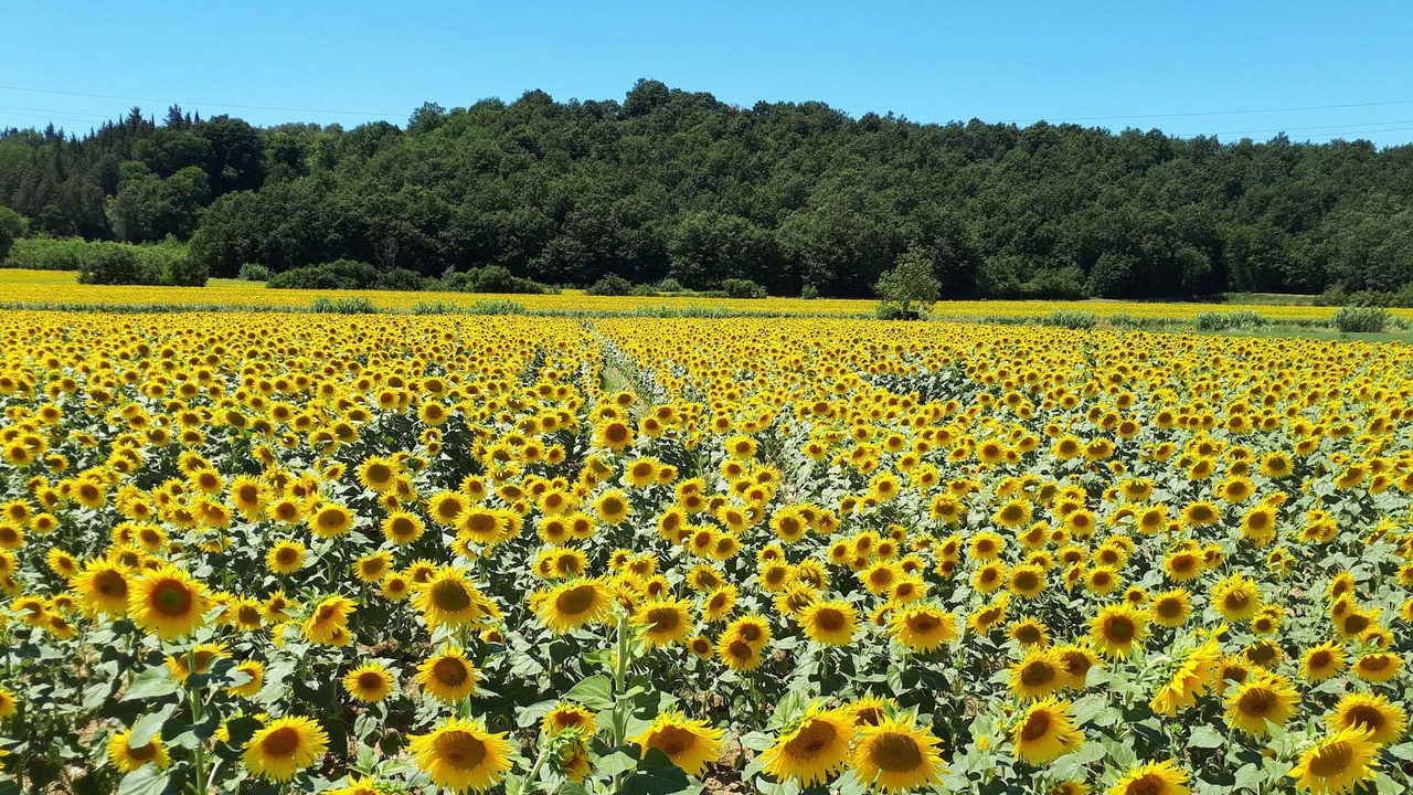 Photo of Outdoor in Lorenzana