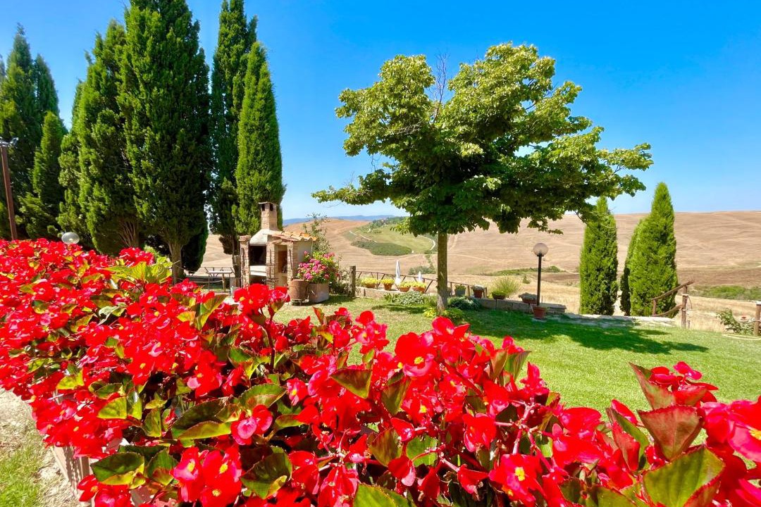 Photo of Others in Pienza