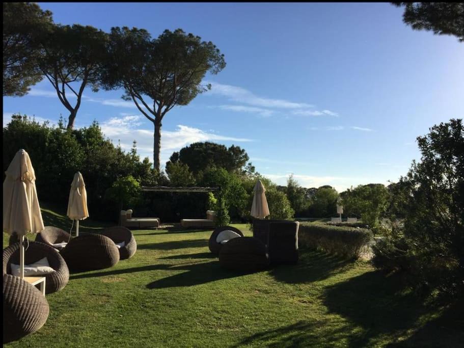 Photo of Others in Montemerano