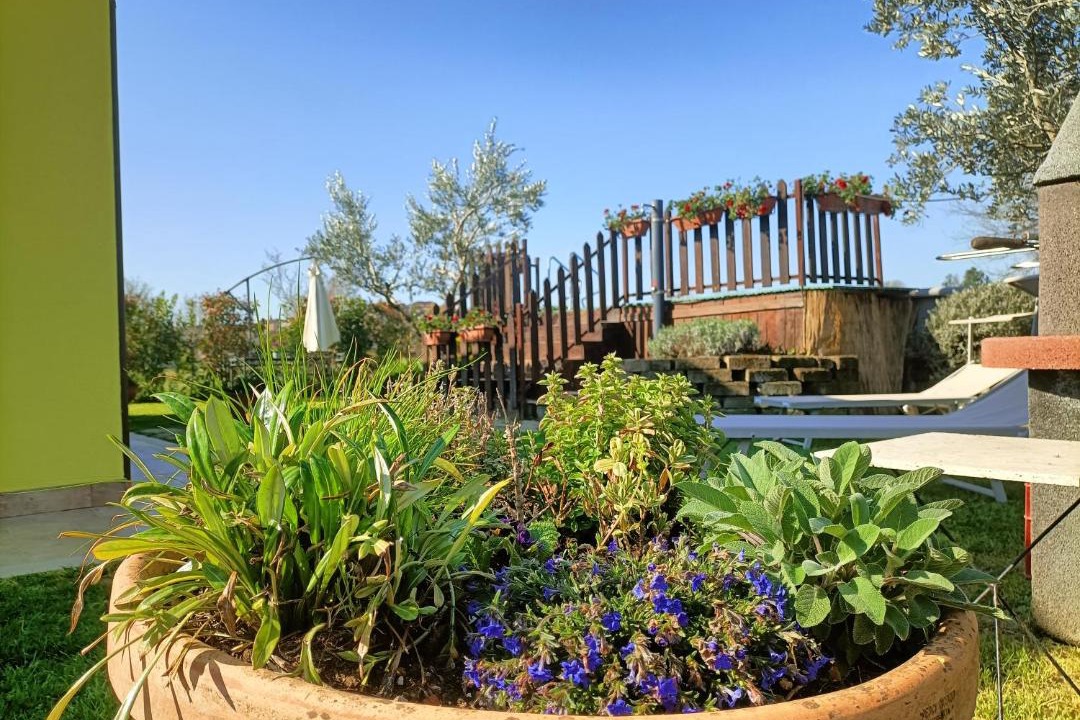 Photo of Others in Foiano della Chiana