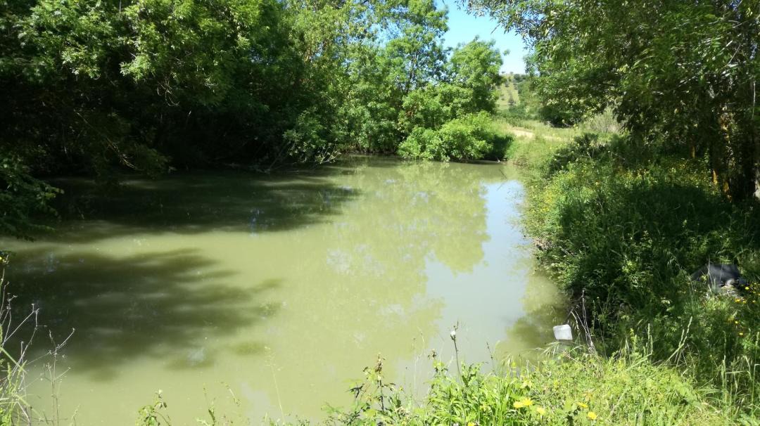 Photo of Others in Capalbio